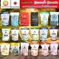 ราคา (ถุงแบรนด์ 1 kg) แม่ปุ๋ย ปุ๋ยเกล็ด 15-0-0 , 0-52-34 , 13-0-46 , 12-61-0 , 10-0-0 , 0-0-50 #ดวงตะวันเพชร (28808195645)