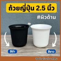 ราคา กระถางถ้วยญี่ปุ่น2.5นิ้ว กระถางทรงญี่ปุ่น กระถางถ้วยสูง กระถาง2.5นิ้ว กระถางแคคตัส กระถางกระบองเพชร (28400383300)