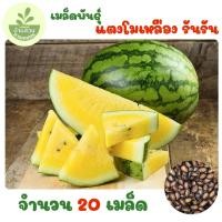 ราคา เมล็ดพันธุ์แตงโมเหลือง รันรัน จำนวน 20 เมล็ด (51203540125)