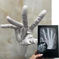 ราคา 1:1 Hand Joint Finger Bionic Action Figure Left Right Hand Simulation Draw Sketch Art Painting Anime Body Movable Hand M (27420449723)