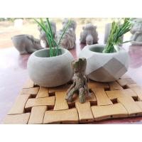 ราคา กระถางต้นไม้ปูนเปลือย แนวมินิมอล (24413108392)