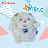 ราคา Rainflowerตุ๊กตาสุนัขเต้าฮวย(ตัวกลม)Size:L/11นิ้ว (6437529568)