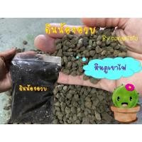 ราคา หินภูเขาไฟ Amity Green หินลาวา แคคตัส cactue วัสดุปลูก (10308216782)