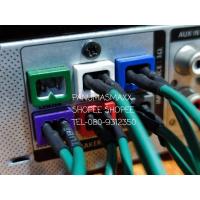 ราคา แจ๊คแปลงเสียบสายลำโพง รุ่นขั้วแบน SAMSUNG PANA PIONEER LG (15553718490)