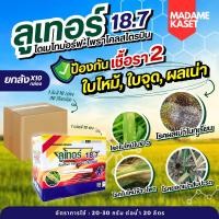 ราคา ยกลัง x100 ชิ้น | ลูเทอร์ 18.7 (ไดเมโทมอร์ฟ + ไพราโคลสโตรบิน) ช่วยป้องกันโรคเชื้อราใบไหม้ ใบจุด ในพืชไร่พืชสวน (100กรัม) (28963700370)