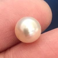 ราคา 2.35 ct ไข่มุกน้ำจืดประเทศไทย Fresh water pearl (22425709602)