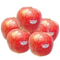 ราคา แอปเปิ้ลแอมโบรเชีย แพค 6 Ambrosia Apple Pack 6 [หมายเลขบาร์โค้ด 0000034889022 ] สินค้าคุณภาพดี คัดสรรอย่างตั้งใจ (51762599846)