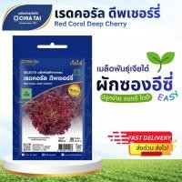 ราคา Easy เมล็ดพันธุ์ ผักสลัด เรดคอรัล ดีพเชอร์รี่ 0.5กรัม เจียไต๋ Red Coral Deep Cherry (47057045849)