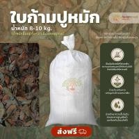ราคา ใบก้ามปูหมัก 1 กระสอบ(8-10​kg.) (เกาะต่างๆสั่งซื้อขั้นต่ำ 5 รายการ) (6034554841)