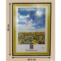 ราคา กรอบรูปสีเขียวเข้ม56x40.5cm. กรอบรูป56x40.5cm.สีเขียวเข้ม กรอบรูปแขวนผนัง แต่งบ้านสไตล์มินิมอล (45206102235)