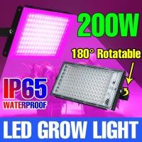 ราคา 220V Full Spectrum LED Grow Light 50W/100W/200W /300Wไฟปลุกต้นไม้ ไฟช่วยต้นไม้ตัวเร็ว มีสวิตช์ปิดเปิด สายไฟยาว1.5โมตร (22723891808)