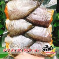 ราคา ปลาสลิดแดดเดียว Size 6-7 ตัว น้ำหนัก 500 กรัม ปลาสลิดไข่แดดเดียว ปลาสลิดบางบ่อ หอม อร่อย ไม่คาว (24103786988)