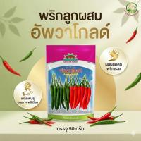 ราคา เมล็ดพริก อัมพวาโกลด์ 50 กรัม พริกลูกผสม ตราตะวันต้นกล้า (48506645149)