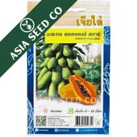 ราคา Chia Tai HG มะละกอฮอลแลนด์ สตาร์ Holland Star Papaya 0.1 g (51262479507)