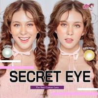 ราคา คอนแทคเลนส์ Mini Secret eye/Little Secret eye สีเทา/ตาล Gray/Brown มีค่าสายตาปกติ (0.00) เปลี่ยนแทนทุกเดือน (22358112083)