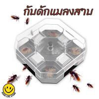 ราคา ที่ดักแมลงสาบ กับดักแมลงสาบ ดักแมลงสาบ กล่องดักแมลงสาบ กำจัดแมลงสาบ แมลงสาบ พร้อมเหยื่อล่อ (นำกลับมาใช้ใหม่ได้) (19750695263)