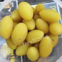 ราคา สมอ ลูกสมอ สมอเหลือง สมอไทย แช่อิ่ม อบแห้ง 500 กรัม Terminalia Chebula (7612127746)