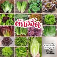 ราคา เมล็ดผักสลัด หลากหลายชนิด กรีนคอส, กรีนโอ๊ค, บัตเตอร์เฮด, ผักกาด, ผักเคล, มินิคอส และอีกมากมาย (27956023016)