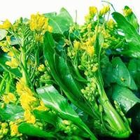 ราคา เมล็ดพันธ์กวางตุ้งดอกฮ่องกง (1645809232)