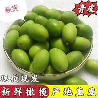 ราคา รวมกล่อง 500gChaozhou Green Olives – Fresh & Versatile ChaoShan Green Olives (51911293366)