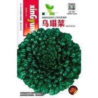 ราคา เมล็ด ผัก กวางตุ้ง แทตฉ่อย 2000 เมล็ด Tat Soi Chinese flat cabbage สายพันธุ์ OP (14388204157)