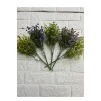 ราคา ใบศิลปะ VIRAL / พืชศิลปะ / DAUN HIASAN / พืชกระถางศิลปะ / ตกแต่งบ้าน / เรา (56756050491)