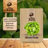 ราคา เมล็ดพันธุ์บัตเตอร์เฮด หัวหอมทุ่ง เมล็ดพันธุ์ออร์แกนิค เมล็ดพันธุ์หายาก ปลูกผักเอง สวนผัก ชุดปลูกผัก (56606768003)
