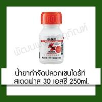 ราคา น้ำยากำจัดปลวก เชนไดร้ท์ สเตดฟาส 30 เอสซี CHAINDRITE STEDFAST 30SC 250 ml. น้ำยา กำจัดปลวก อุปกรณ์ ฆ่าแมลง (3991825340)