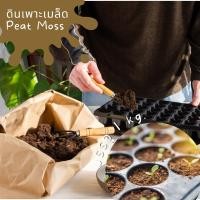 ราคา ดินพีทมอส สูตรสำหรับเพาะเมล็ด บรรจุ 1 kg (21544259833)