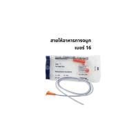 ราคา NG Tube สายให้อาหารทางจมูก สายสวนกระเพาะอาหาร Stomach Tube Size : 16Fr หัวสีส้ม (20482537039)