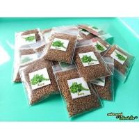 ราคา เมล็ดพันธุ์ผักขึ้นฉ่ายปลูกง่ายโตเร็ว (25416538940)