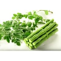ราคา ผงมะรุม ขนาด50กรัม รหัสสินค้า - 000940 (23437918585)
