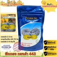 ราคา ฟักทองทองคำ443 F1 เมล็ดพันธุ์ ลายข้าวตอก 100 ก.ตราเจียไต๋ (8148948603)