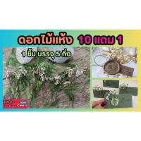 ราคา ดอกไม้แห้ง .ใบไม้แห้ง งานDIY ของชำร่วย งานประดิษฐ์ งานคราฟท์ craft handmade scrapbook ตกแต่ง ประดับ ของขวัญ กล่องของขวัญ (25579445252)