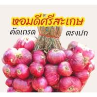 ราคา [ส่งฟรี] #1กิโล| ใหม่หอมแดง ศรีสะเกษแท้ ตรงปก หอมแดงไทย มัดจุก 500 กรัม คุณภาพดี เนื้อแน่น หัวสวย (42476136347)