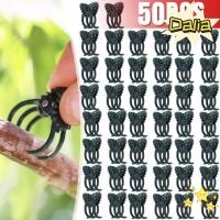 ราคา ดาเลีย 50ชิ้นก้านผักสนับสนุนหนีบ,พลาสติกกล้วยไม้รูปพืชแก้ไขคลิป,ทนทานนํามาใช้ใหม่สวนพืชคลิปสวนหวายอุปกรณ์ปลูก (43031985953)