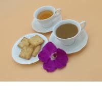 ราคา ชุดแก้วกาแฟเซรามิค(ceramic) (2094360119)