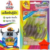 ราคา ขายปลีก เมล็ดพันธุ์ ผัก *แพ็ค10ซอง*ตราม้ารุ้ง Z158 มะเขือม่วงลิงลูกสั้น เมล็ดพันธุ์ เมล็ดผัก ผักซอง ม้ารุ้ง ผักสวนครัว (42873355499)