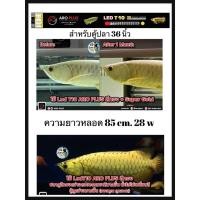 ราคา หลอดไฟ2in1 โชว์ปลาและเทนนิ่งสำหรับปลามังกรทอง T10 4แถว ขนาด 90cm. สำหรับตู้36นิ้ว ความยาวหลอด 85cm. (18618003927)