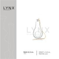 ราคา LYNX - Bulb 21.5 cm. - แจกันแขวน Terrarium แฮนด์เมด ทรงหลอดไฟ เนื้อแก้วใส สำหรับตกแต่งบ้าน & จัดสวนขวด (44452750243)