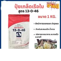 ราคา ปุ๋ยเกล็ดเรือใบ ตราเรือใบไข่มุก สูตร 13-0-46 สูตร 13-0-46 เป็นปุ๋ยชนิดละลายน้ำได้ดีเยี่ยม  (50857501754)