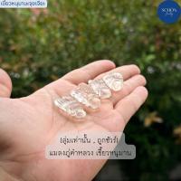 ราคา 2-W-8 แมลงภู่คำหลวง แกะสลักจากเขี้ยวหนุมาน แร่จุยเจีย งานแกะสลักงาน Handmade (24461505402)