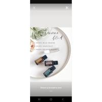 ราคา Wild Orange &Grapefruit &Balance 15ml (42755475044)