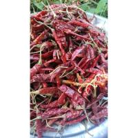 ราคา พริกแห้งเม็ดใหญ่ พริกไทย 1กิโล (26367257139)