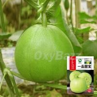 ราคา เมล็ดแอปเปิ้ลเมล่อน เมล็ดเมล่อนแอปเปิ้ล 30เมล็ด Apple Melon (8468268567)