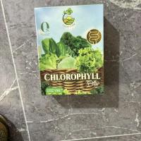 ราคา CHLOROPHYLL CHLOROPHYLL รุ่นปรับปรุง ใยอาหารสูง 6.5 dc (57711854117)