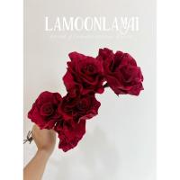 ราคา ดอกชบาดอย สีเเดง(ดอกไม้แห้ง) (57354872413)