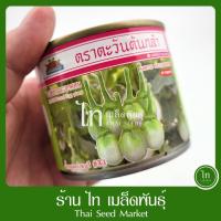 ราคา มะเขือเปราะ น้ำหยดราชบุรี #34 เมล็ดพันธุ์ มะเขือเปราะ มะเขือจาว ลูกผสม ตรา ตะวันต้นกล้า บรรจุ 50/20 กรัม (50950741576)