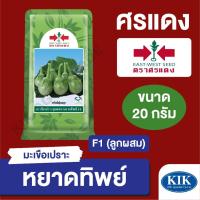ราคา เมล็ดพันธุ์ ศรแดง BIG มะเขือเปราะ หยาดทิพย์ (ซอง) ขนาด 20 กรัม (18581312975)