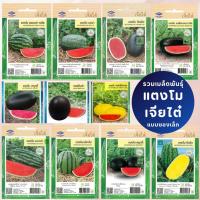 ราคา ซองเล็ก มีครบ เมล็ดพันธุ์แตงโม เจียไต๋ ซอนญ่า เมญ่า ทัมอัพ แบล็คบอมบ์ รันรัน แตงโมไร้เมล็ด (27966487277)